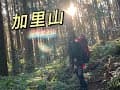 【加里山】負重X公斤，真的可以嗎？鹿場登山口上山，車子好停！