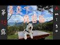 星空下露營區 | 傑克羅素露營日記 | 新竹五峰露營 | 狗狗露營 | Pet-friendly Camping in Taiwan | UCO | UNIFLAME