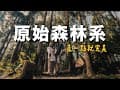 露營Vlog⛺️這個森林系真的是一座森林｜杉彩露營區｜大發家TheAlphas｜Camping#47