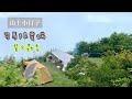 Vlog #6 山上小日子 | 苗栗司馬限雲端露營區🏕 | 營區介紹| 一閃一閃螢火蟲🌟 | K.L