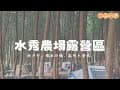 【露營Camping ep.05】水秀農場露營區🌲｜南洋杉林營地｜國姓糯米石橋｜Snow peak 001自立帳⛺