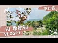 【露營Vlog#01】新竹竹東｜蟲鳴鳥叫｜NO.19 Hi 燥樹排｜an寶日常