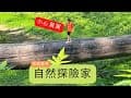 做一位自然探險家吧｜孩子們的草地冒險  #柚園生態農場