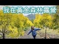 露營Vlog｜黃金森林露營區/兩款電暖器/露營晚餐吃年菜/atc充氣枕/營區介紹,NO24