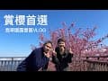 賞櫻首選｜翡翠園露營區VLOG