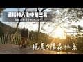 Camping vlog ｜第五十露｜南投國姓｜樸石秘境露營區｜滿分設備 衛浴近｜有室內房｜野地酒食ep17 西班牙辣肉腸淡菜｜#camping #料理 #南投 #森林 #親子露營