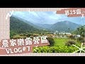 【露營Vlog#07】南投埔里｜No.25農家樂露營區｜an寶日常