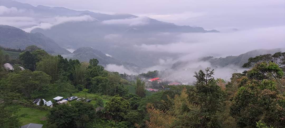 阿里山有機小農露營區