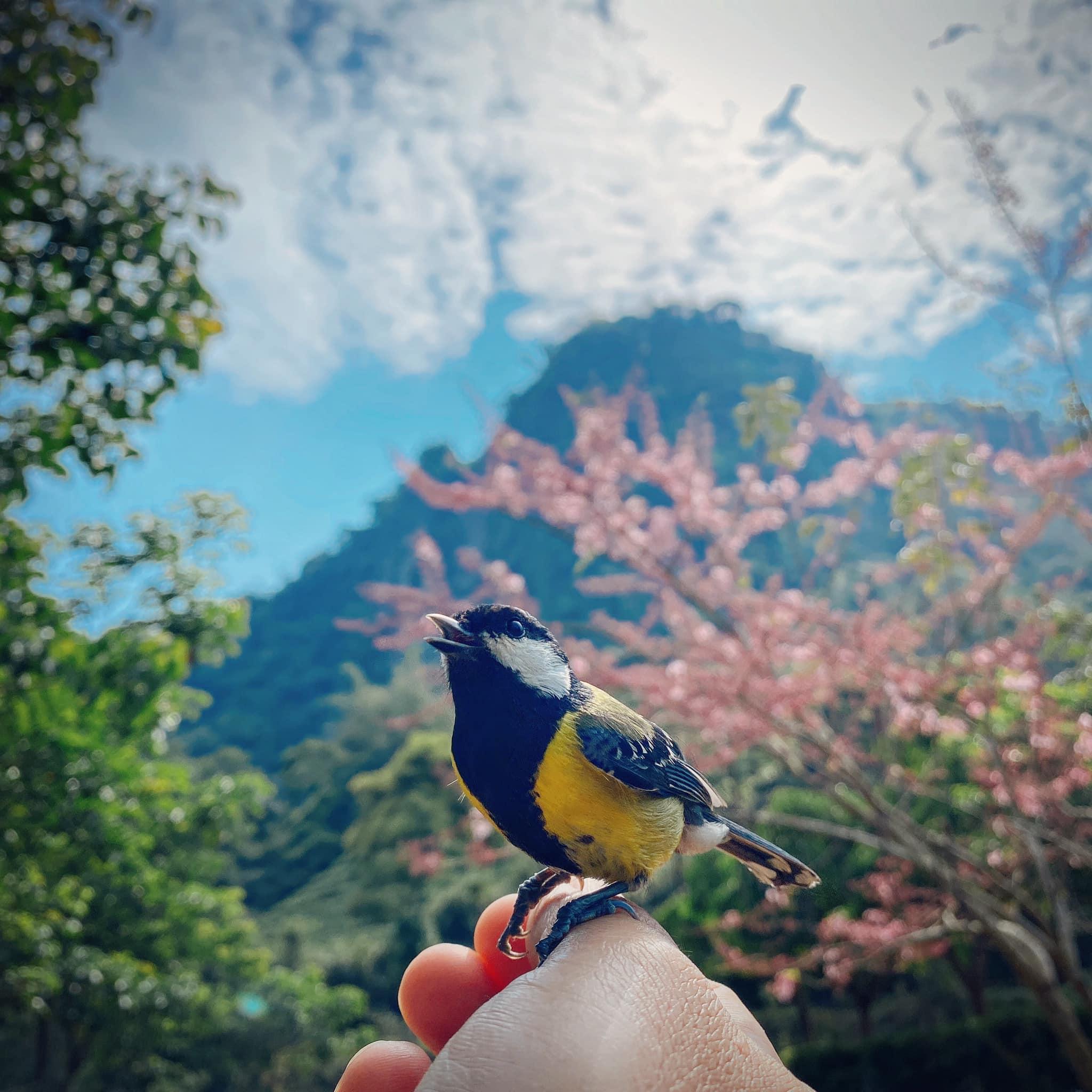 初果森造露營區