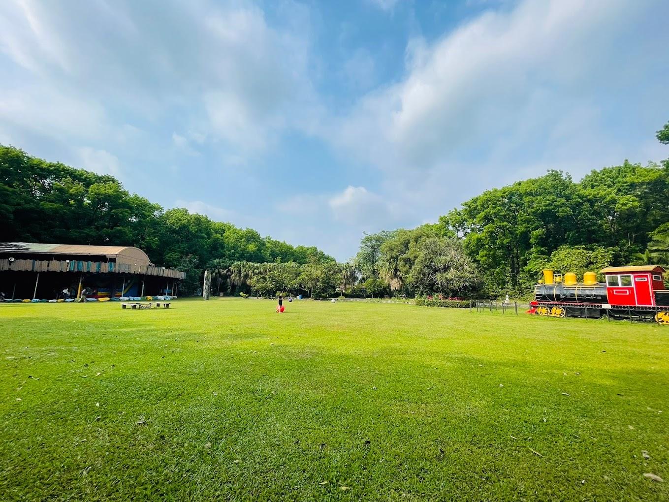 新八大森林生態露營樂園