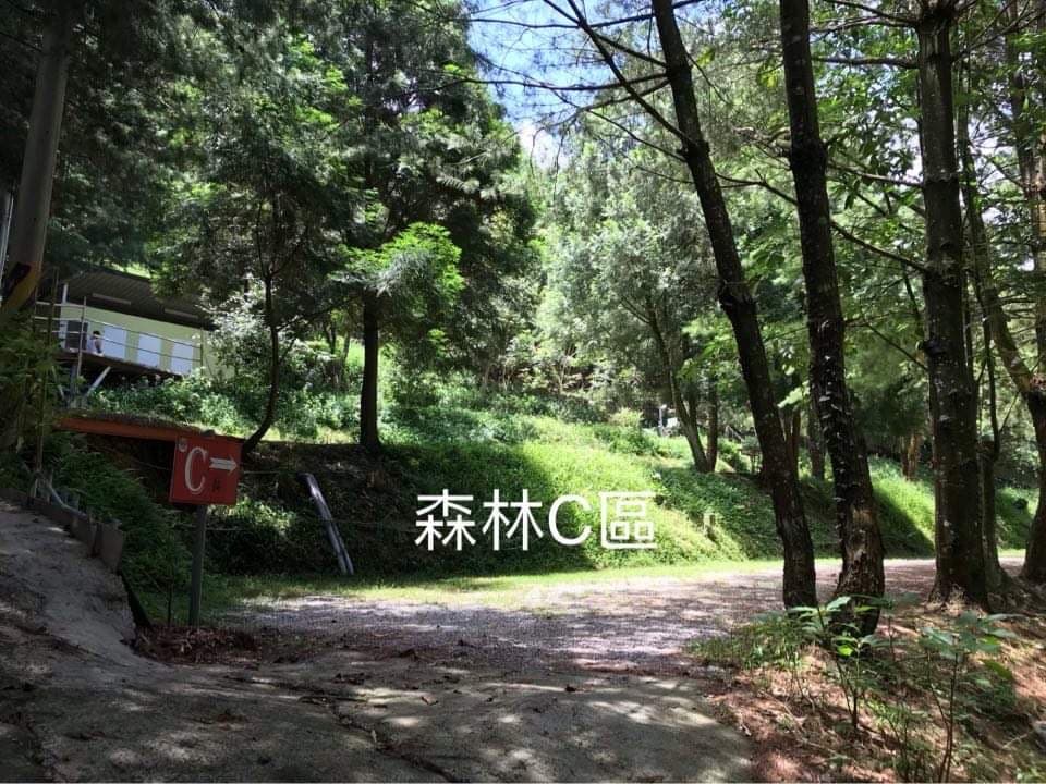 山居歲月森林區