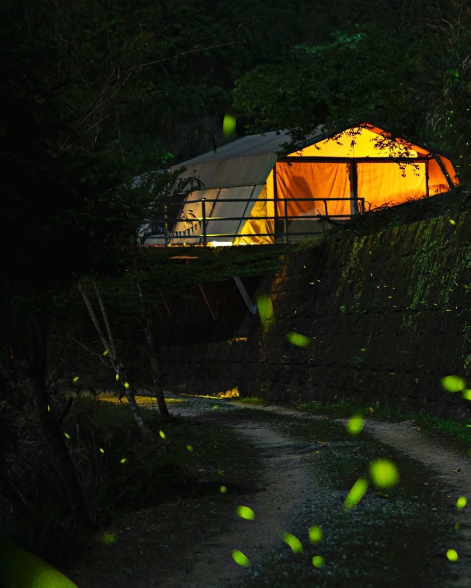 特色導覽I-遍布營區的螢火蟲、清涼溪水